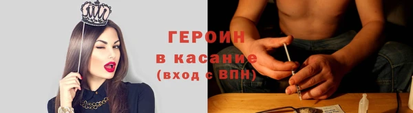 амф Ельня