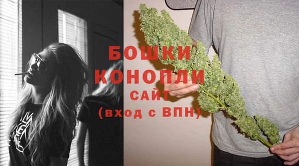 амф Ельня