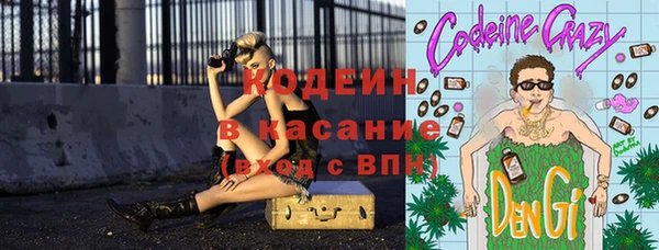 прущие крисы Елабуга