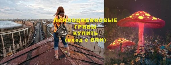 прущие крисы Елабуга
