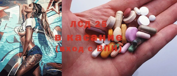 амф Ельня