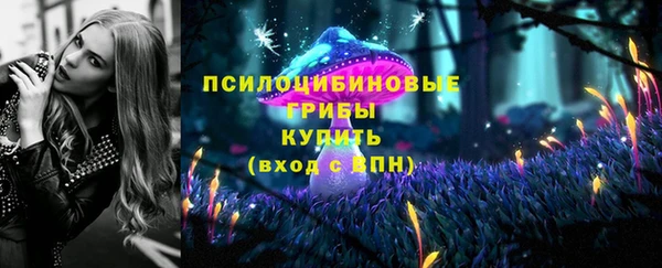 амф Ельня