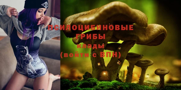 амф Ельня