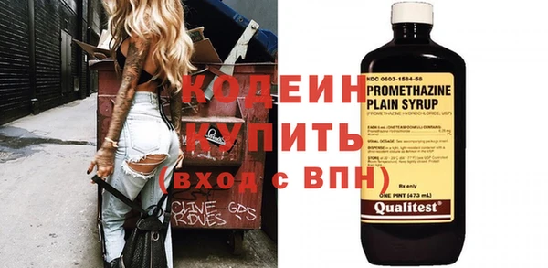 амф Ельня