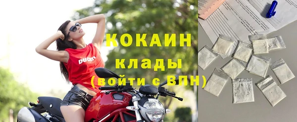 амф Ельня